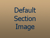 section_image